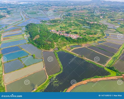 九江溼地公園在哪裏?是否你知道，這塊濕地公園不僅是生態保護的典范，更是當地居民休閒娛樂的重要場所。